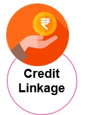 Credit Linkage